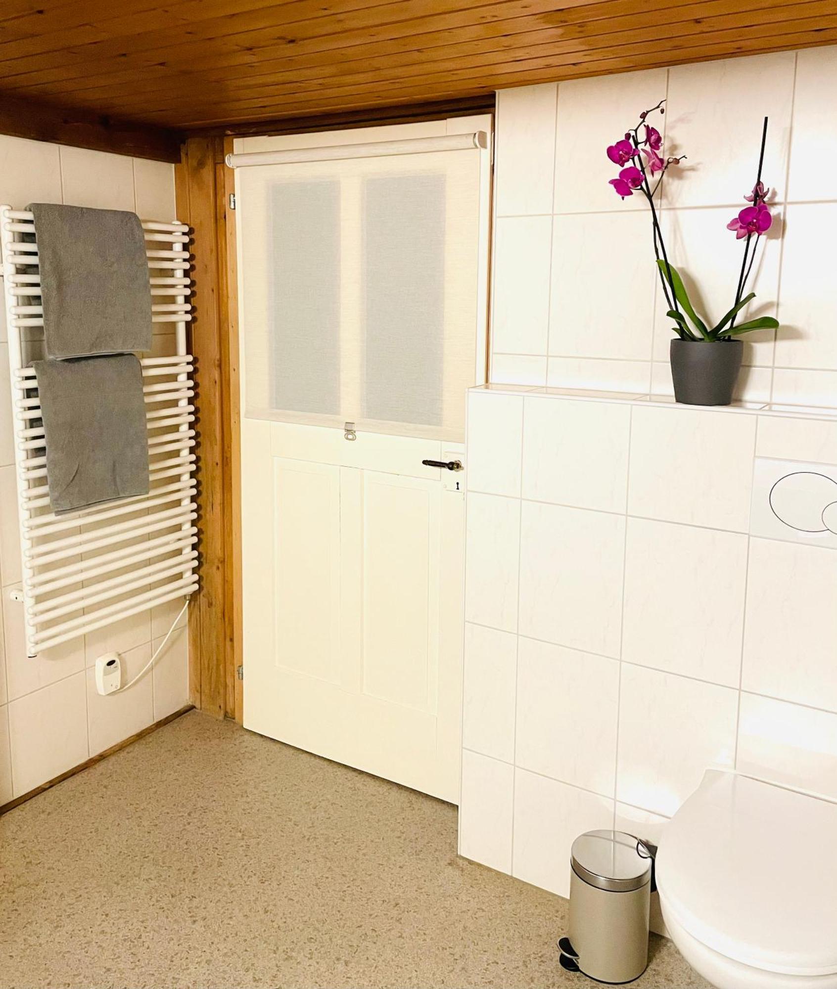 Lovely & Great Equipped Wooden Alp Chalet Flat Кандерштег Экстерьер фото